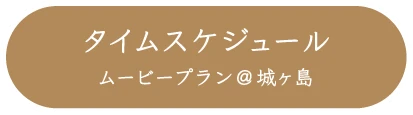 タイムスケジュール
